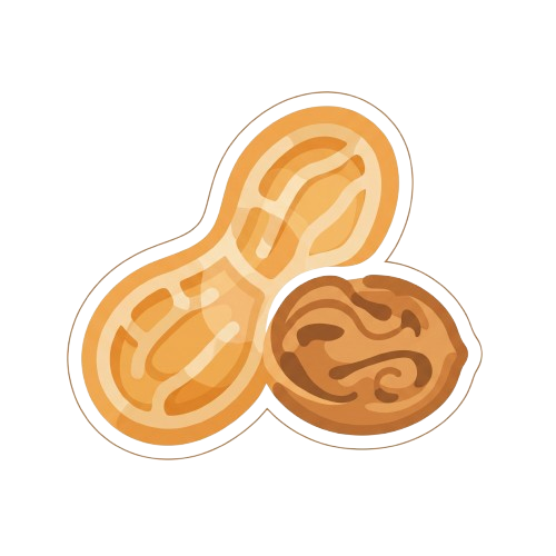 Groundnut