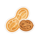 Groundnut